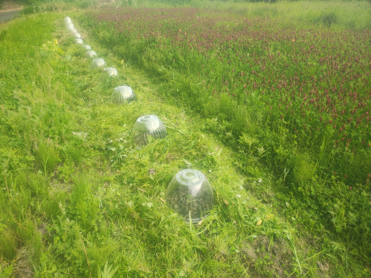 f:id:izumisato:20260427181331j:image f:id:izumisato:20260427181331j:image
