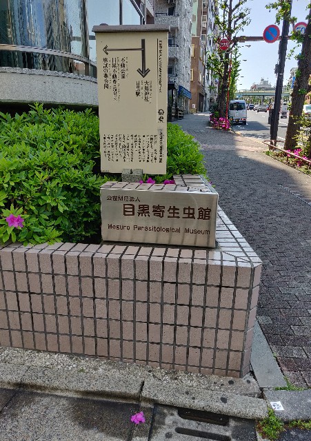 f:id:izumisawasan:20190508111509j:image