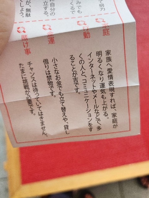 神田明神で獅子舞おみくじをひいたりいろいろ楽しかった話 転んでもただでは起きない日常