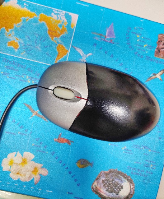 f:id:izumisawasan:20200108132959j:image f:id:izumisawasan:20200108132959j:image