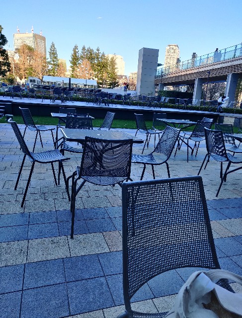 f:id:izumisawasan:20200112125159j:image