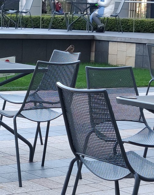 f:id:izumisawasan:20200112153459j:image