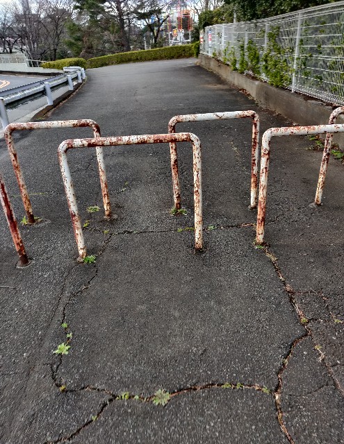 f:id:izumisawasan:20200224105853j:image f:id:izumisawasan:20200224105853j:image