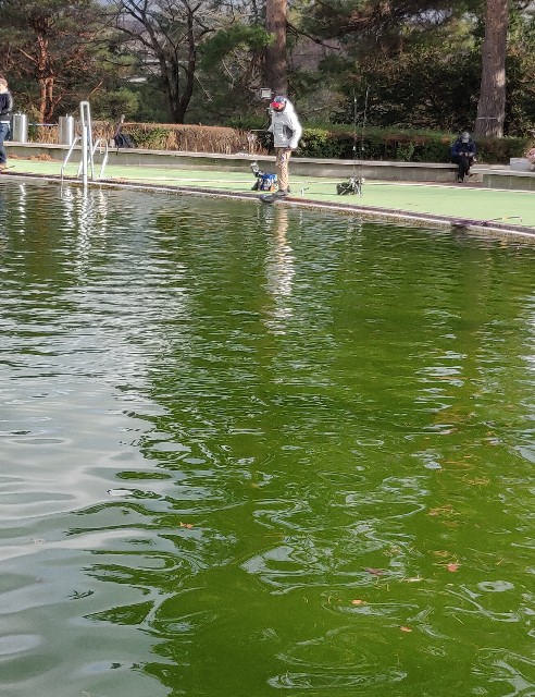 f:id:izumisawasan:20200224110020j:image f:id:izumisawasan:20200224110020j:image