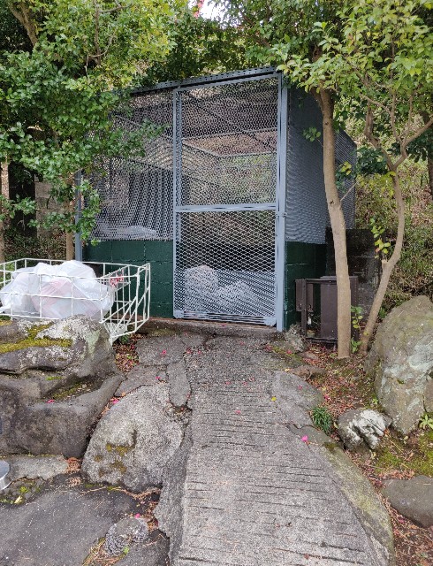 f:id:izumisawasan:20200224110213j:image f:id:izumisawasan:20200224110213j:image