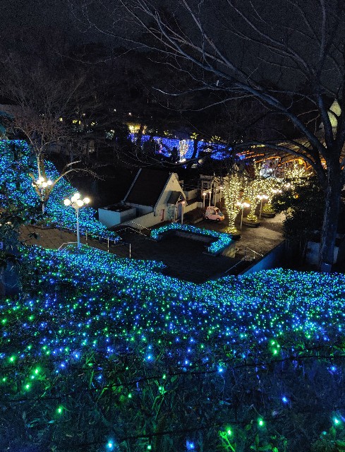 f:id:izumisawasan:20200224110406j:image f:id:izumisawasan:20200224110406j:image