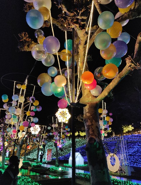 f:id:izumisawasan:20200224110429j:image f:id:izumisawasan:20200224110429j:image