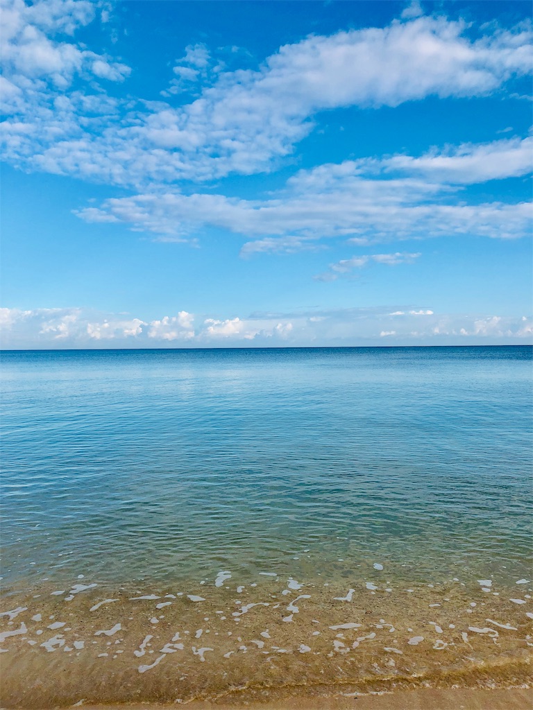 f:id:izumiutamaro:20190210122620j:plain f:id:izumiutamaro:20190210122620j:plain