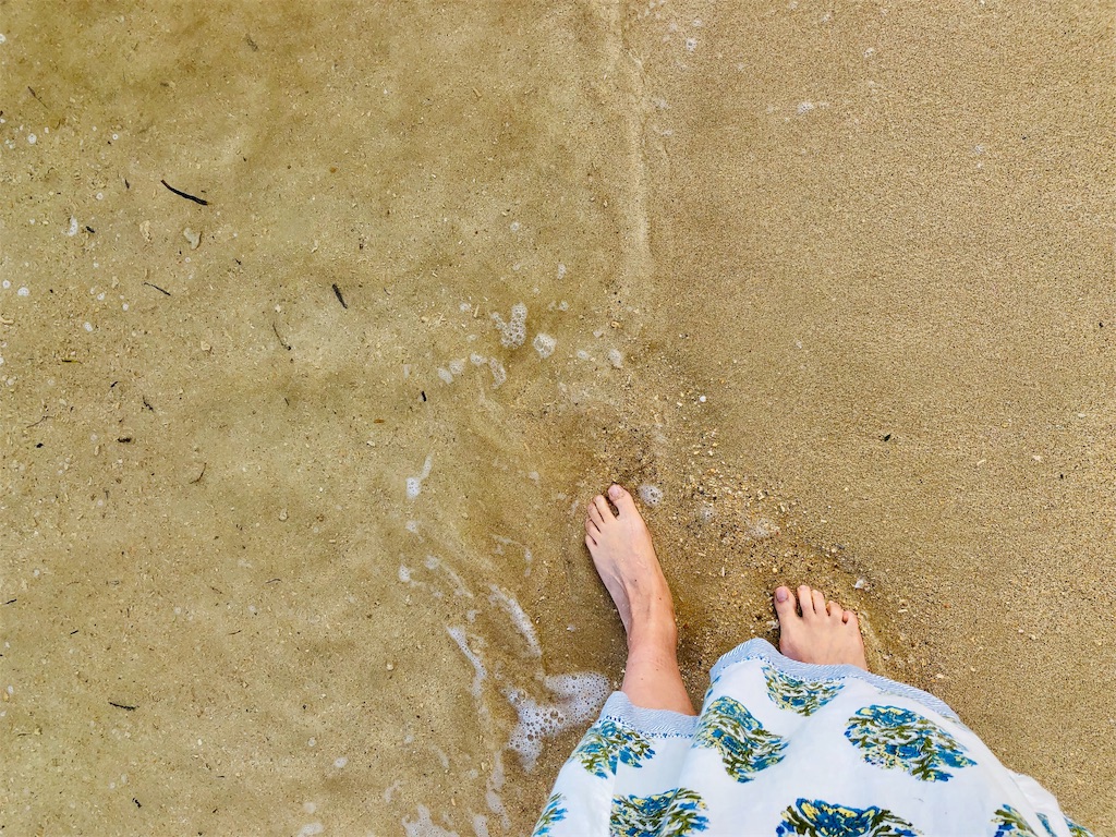 f:id:izumiutamaro:20190210122830j:plain f:id:izumiutamaro:20190210122830j:plain