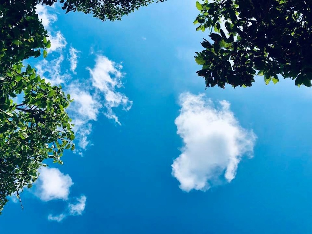 f:id:izumiutamaro:20190210123659j:plain f:id:izumiutamaro:20190210123659j:plain
