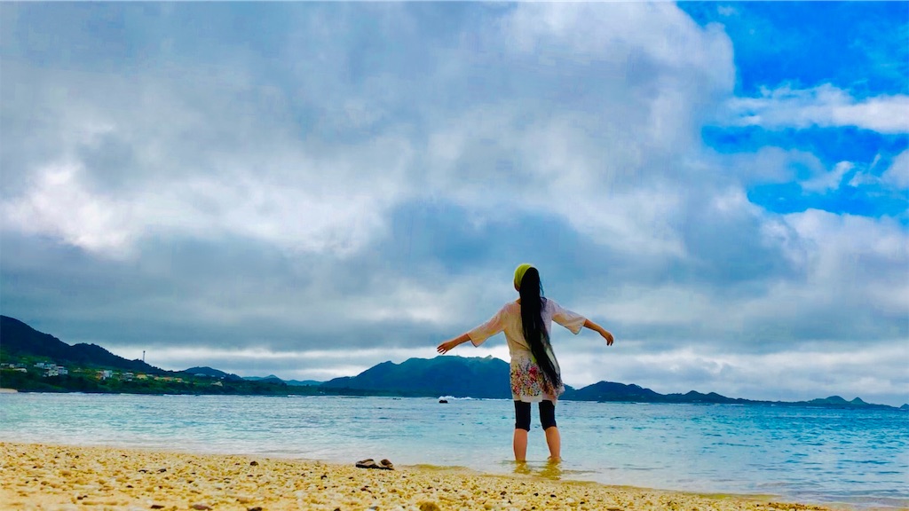 f:id:izumiutamaro:20190210130112j:plain f:id:izumiutamaro:20190210130112j:plain
