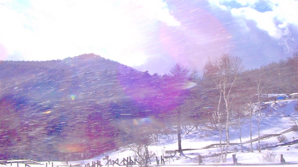 f:id:izumiutamaro:20201216193741j:image f:id:izumiutamaro:20201216193741j:image