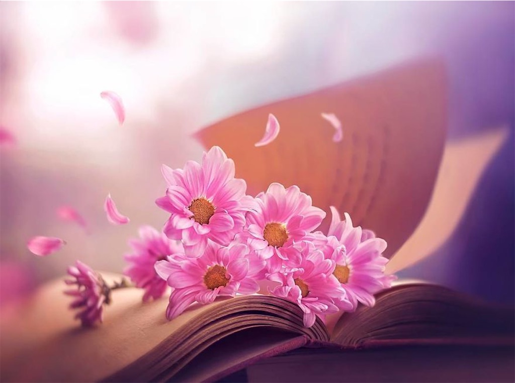 f:id:izunokunisalon:20190904233335j:image f:id:izunokunisalon:20190904233335j:image