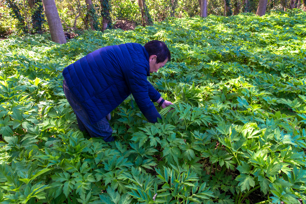 f:id:izuyan:20190826232910j:plain