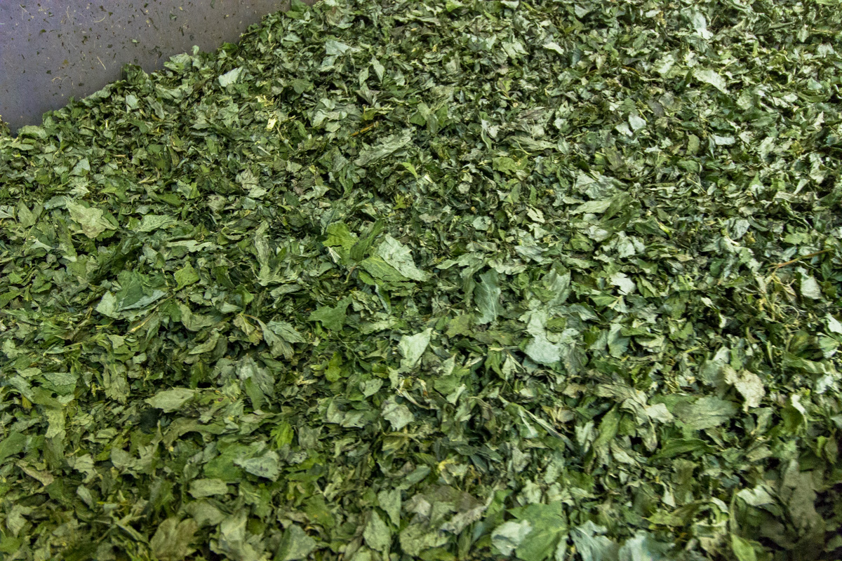 f:id:izuyan:20190826232944j:plain