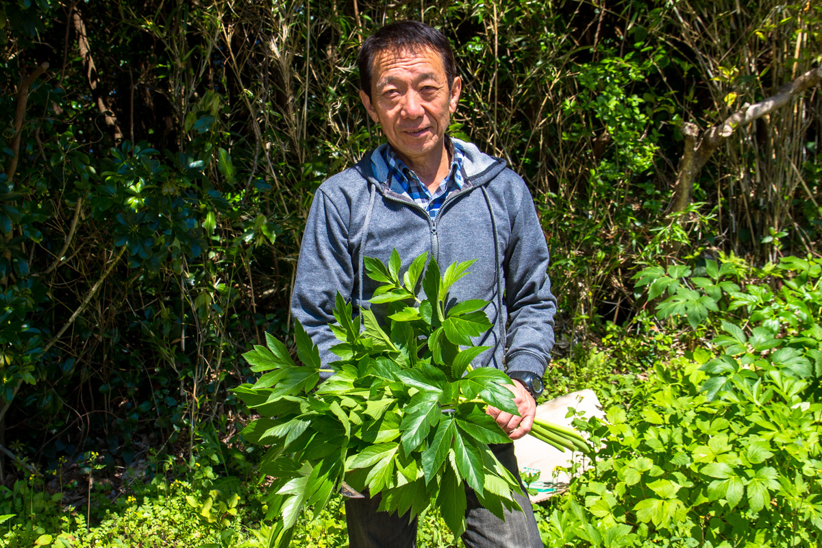 f:id:izuyan:20190828224828j:plain