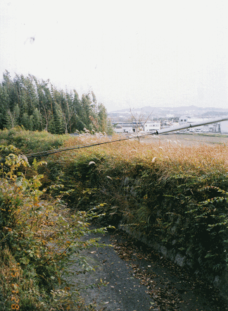 f:id:j-45:20091128160134g:image