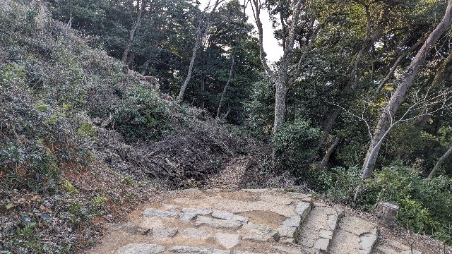f:id:j-dialect:20240228220617j:image