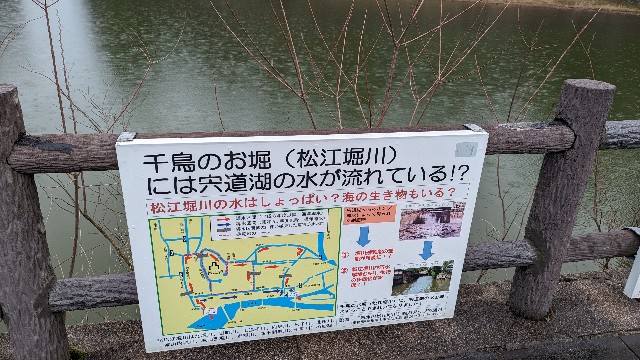 f:id:j-dialect:20240229144852j:image