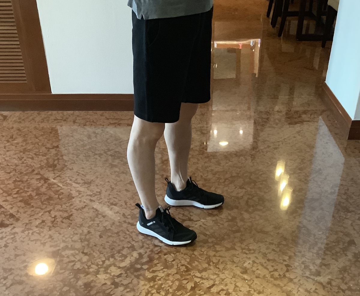 f:id:j-joholabo:20190412110617j:plain