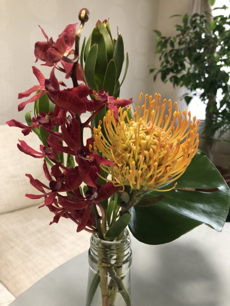 f:id:j-k-maugun:20180810141029j:plain f:id:j-k-maugun:20180810141029j:plain