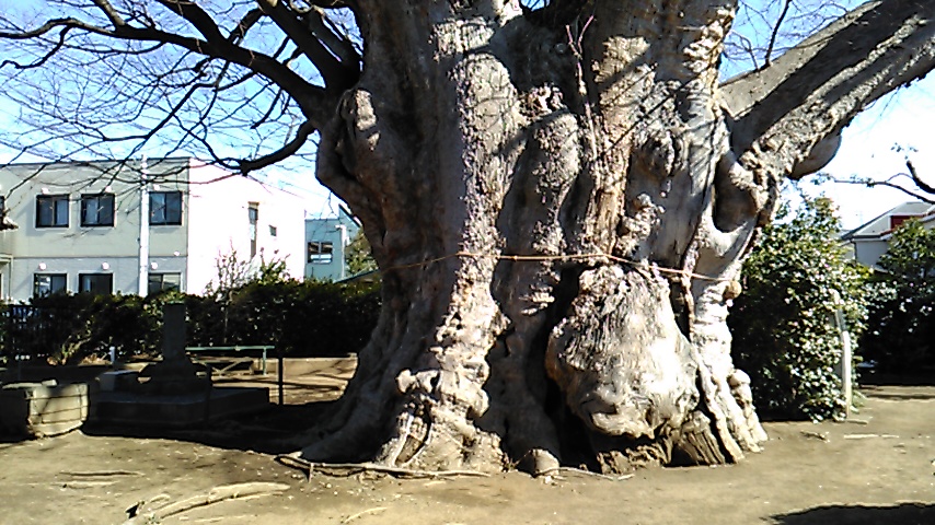 f:id:j-kitap:20210205155022j:plain