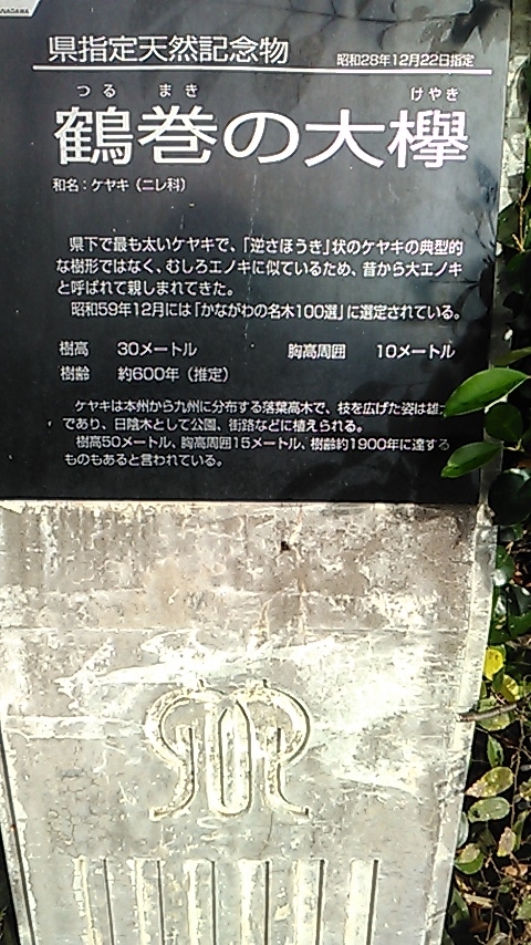 f:id:j-kitap:20210205155107j:plain