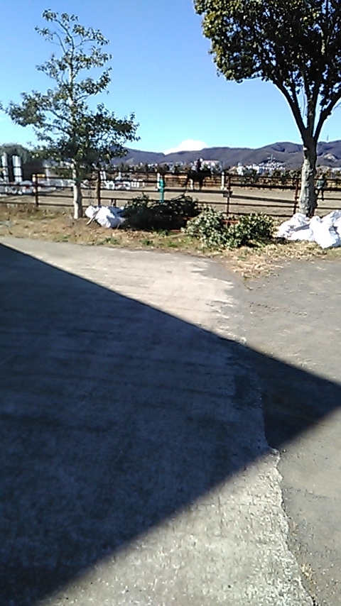 f:id:j-kitap:20210209162150j:plain