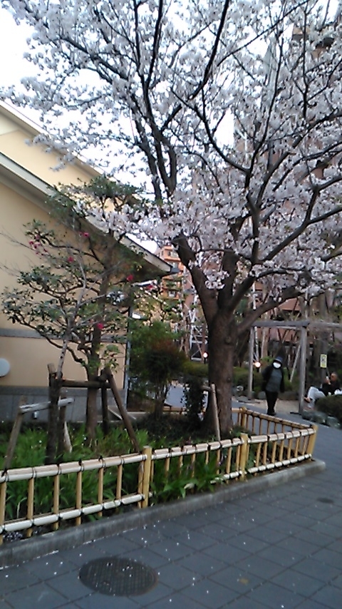 f:id:j-kitap:20210408151953j:plain