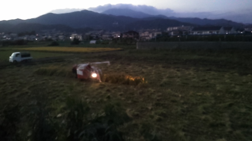 f:id:j-kitap:20210929235003j:plain