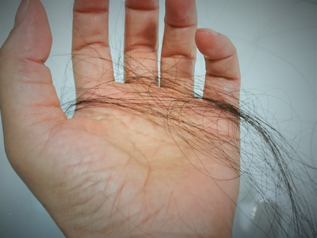 f:id:j-piyo:20190611122936j:plain