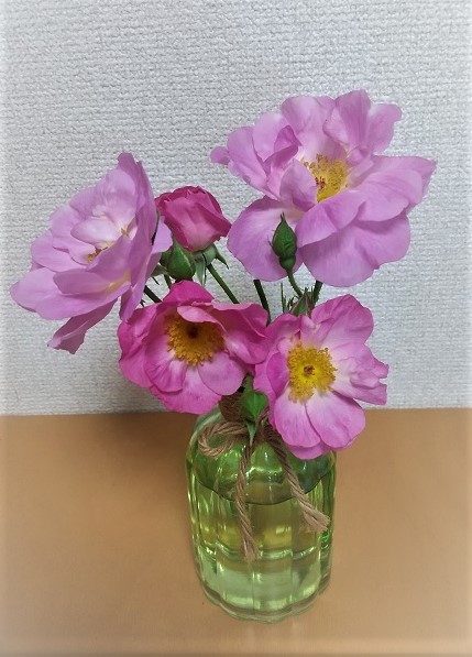 f:id:j-planet:20200605083704j:plain f:id:j-planet:20200605083704j:plain