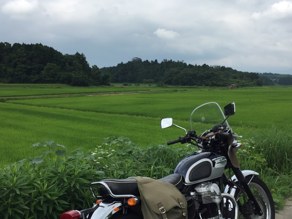 f:id:j-watson:20190711161203j:plain