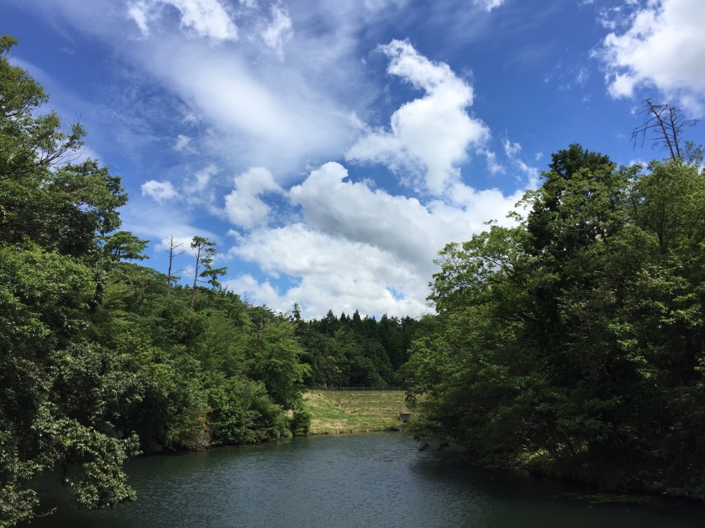 f:id:j-watson:20190813231820j:plain