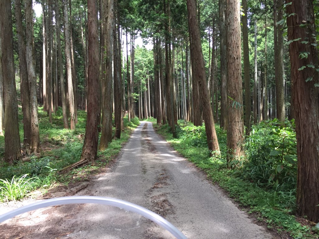 f:id:j-watson:20190813232115j:plain