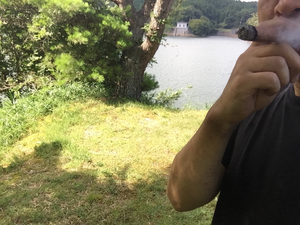 f:id:j-watson:20190814181031j:plain
