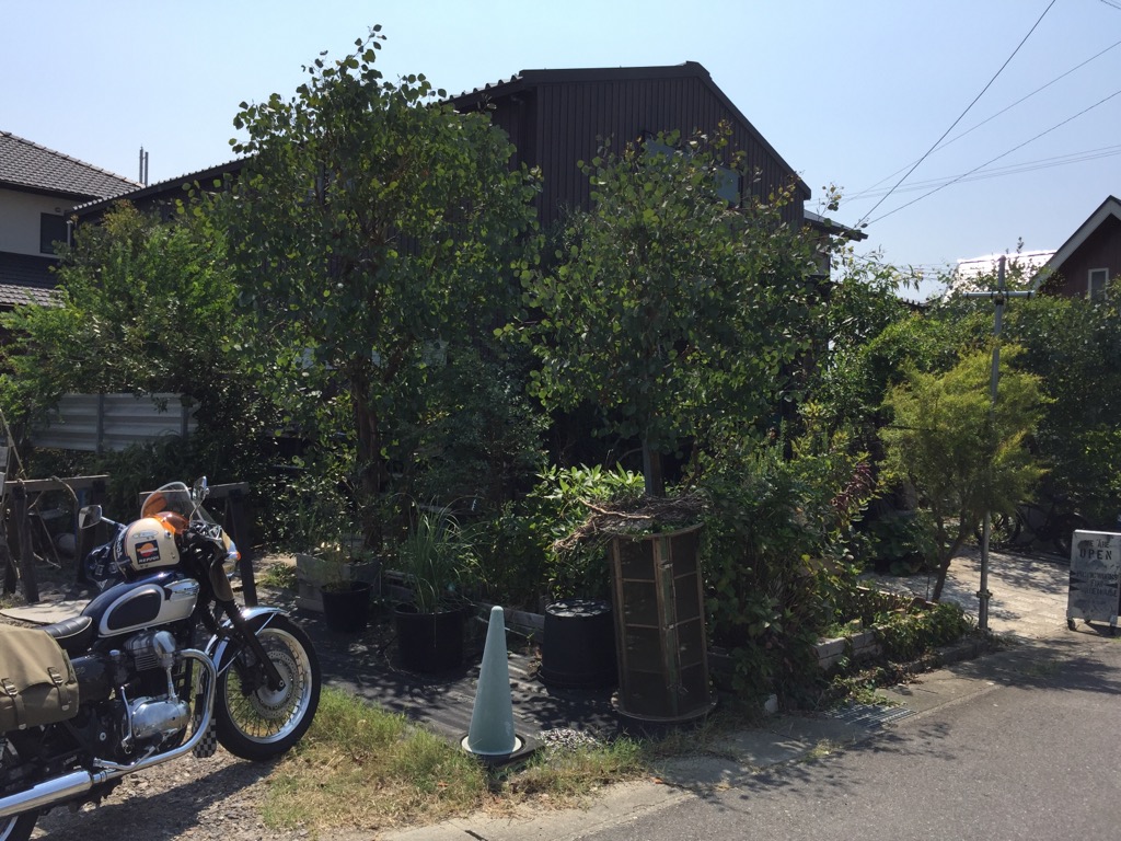f:id:j-watson:20190818190519j:plain
