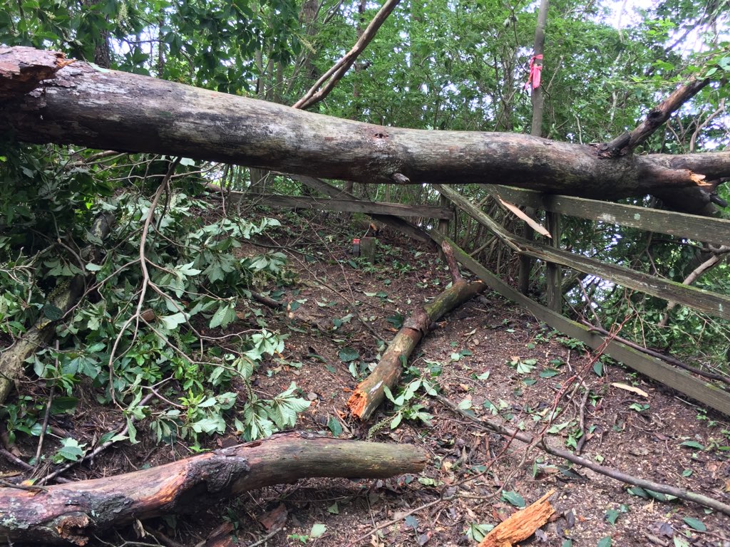 f:id:j-watson:20190901200713j:plain f:id:j-watson:20190901200713j:plain