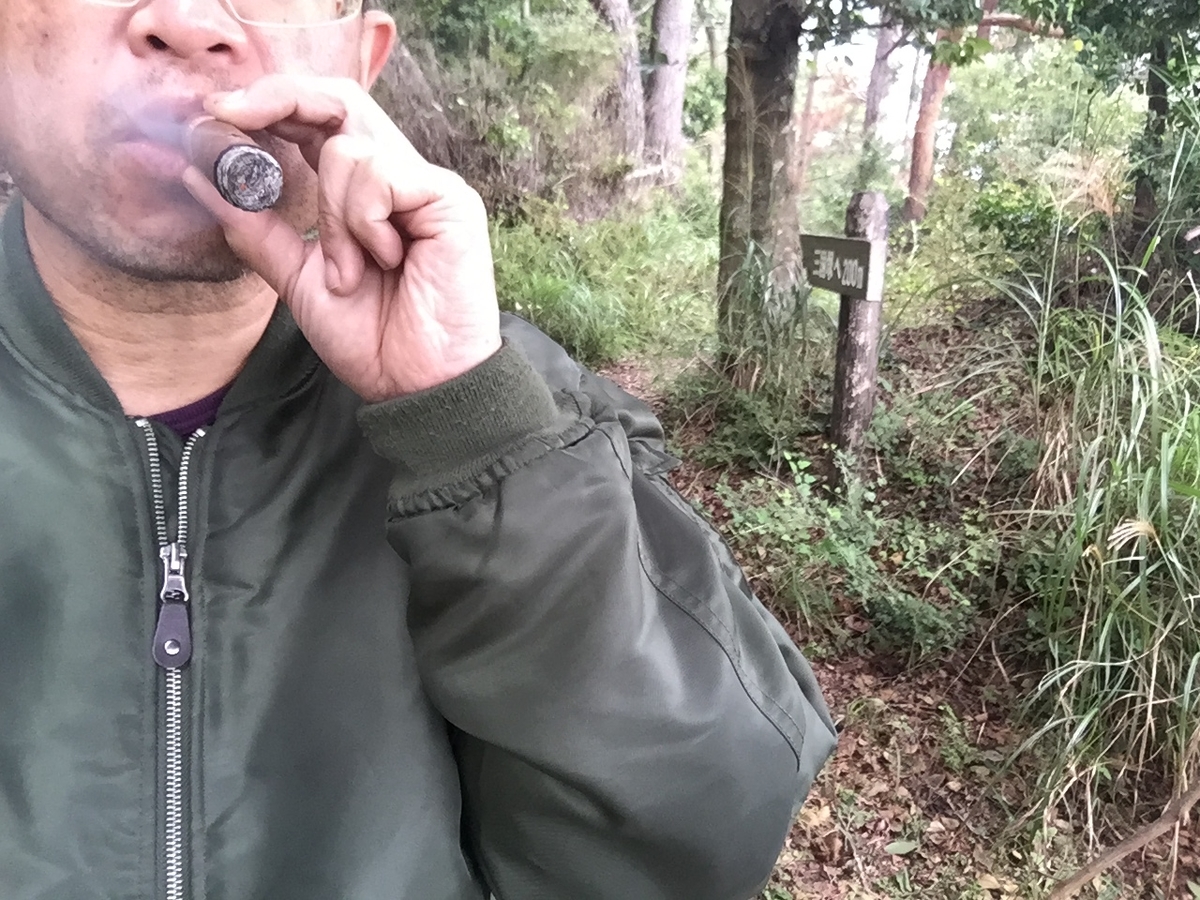f:id:j-watson:20190922160144j:plain