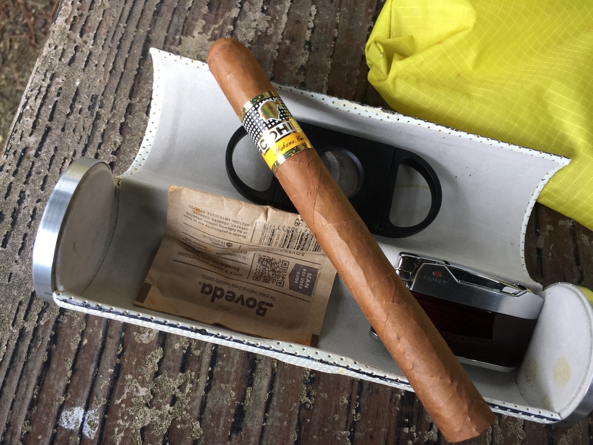 f:id:j-watson:20200713180328j:plain