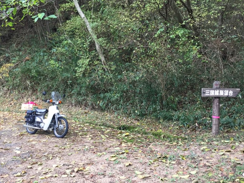 f:id:j-watson:20201111121215j:plain