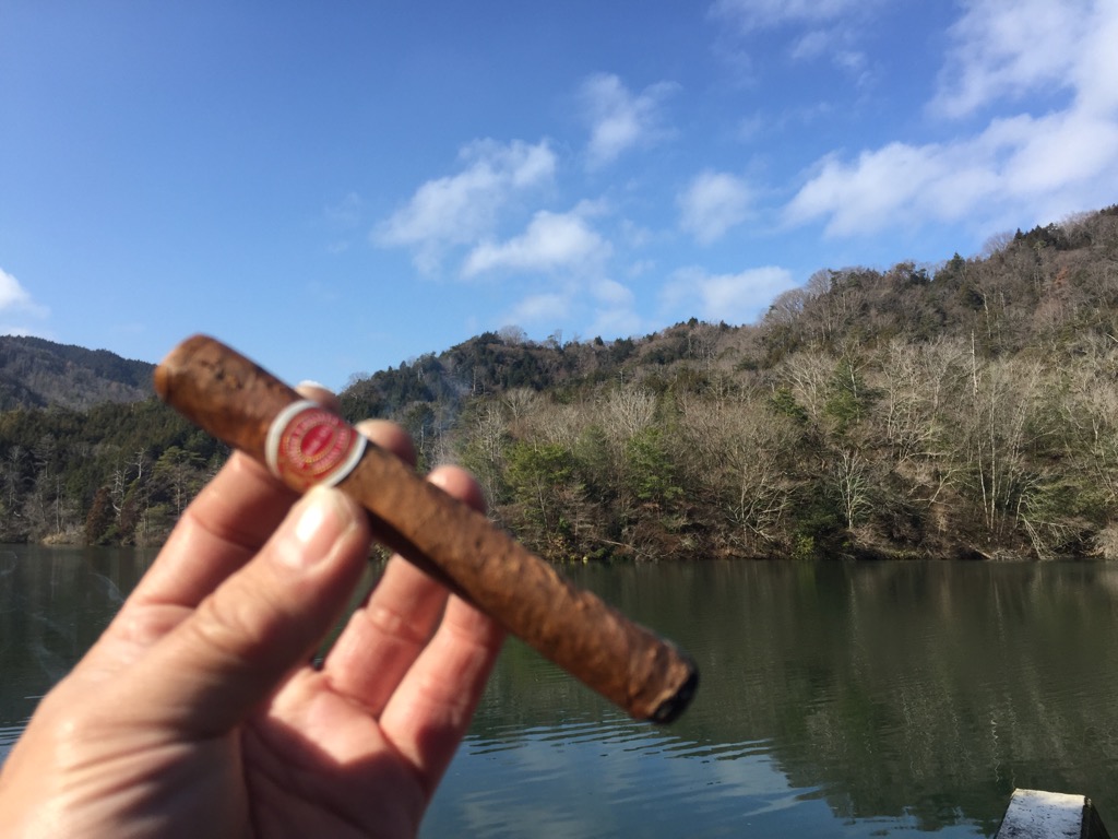 f:id:j-watson:20210214165721j:plain