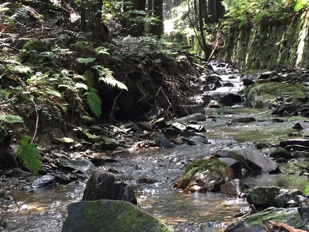 f:id:j-watson:20210620182853j:plain