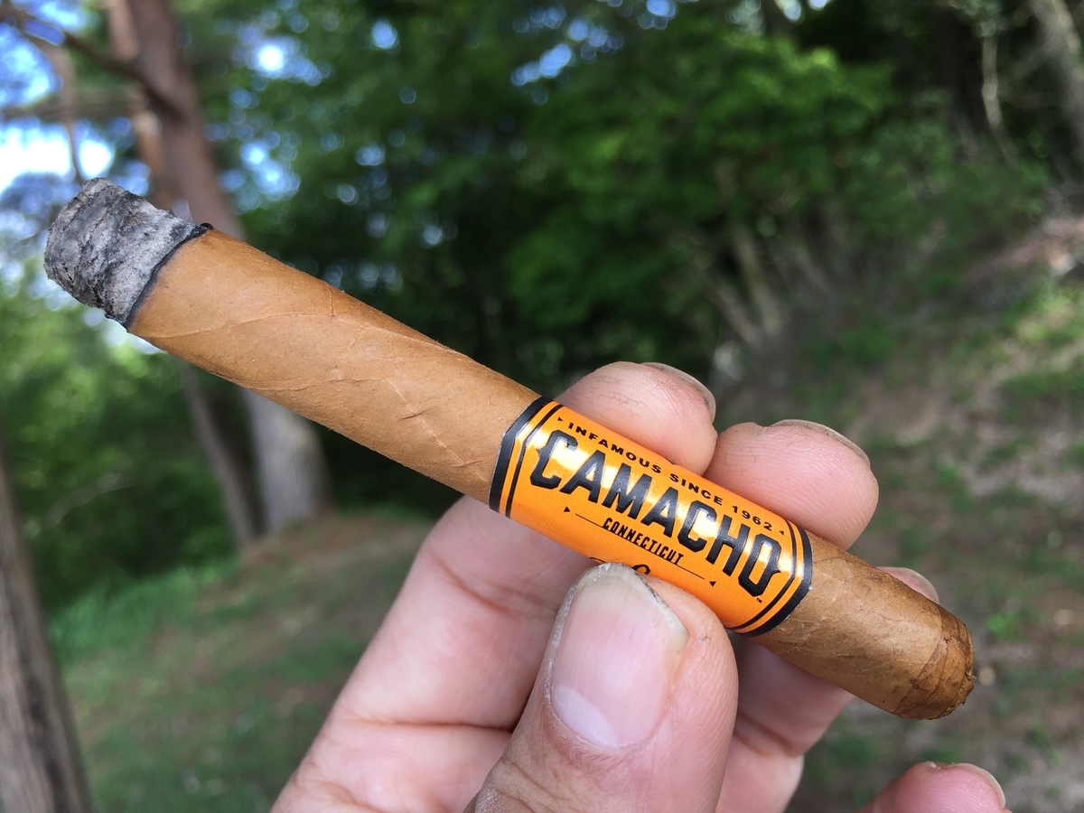 f:id:j-watson:20210622080654j:plain