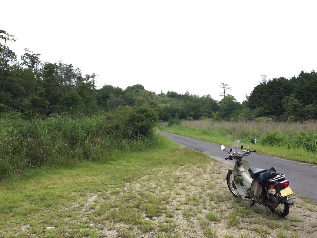 f:id:j-watson:20210627220509j:plain