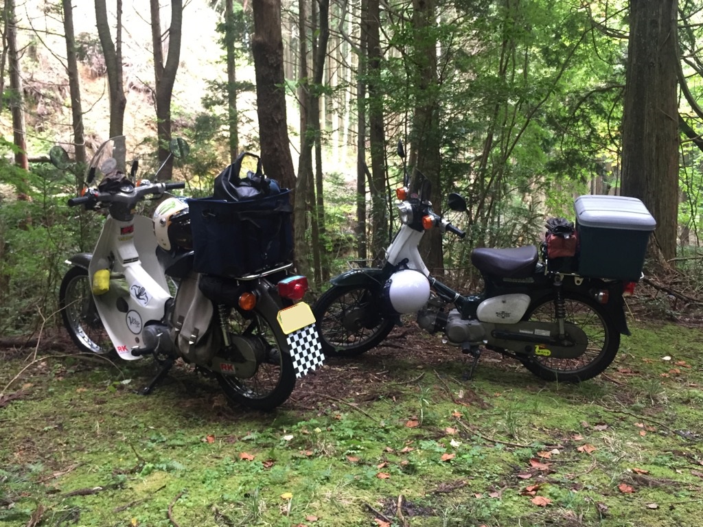 f:id:j-watson:20210814105632j:plain