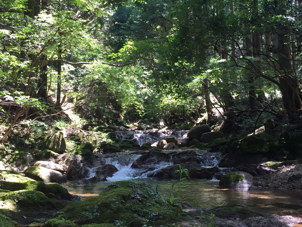 f:id:j-watson:20210814110427j:plain