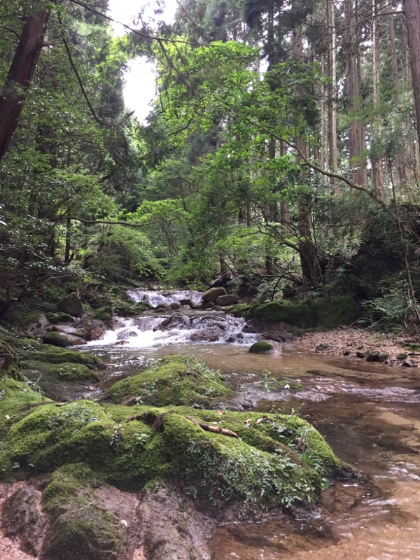 f:id:j-watson:20210814112830j:plain