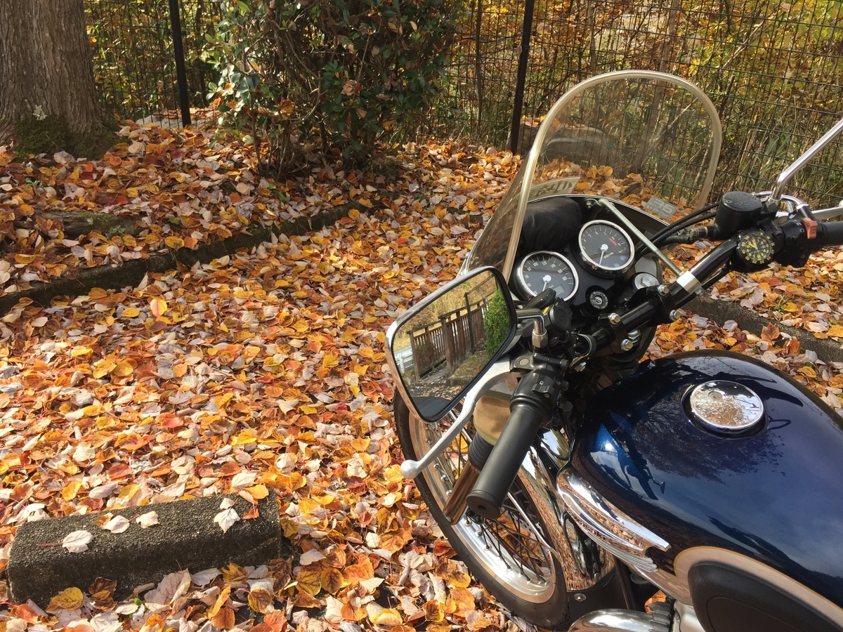 f:id:j-watson:20211124080410j:plain