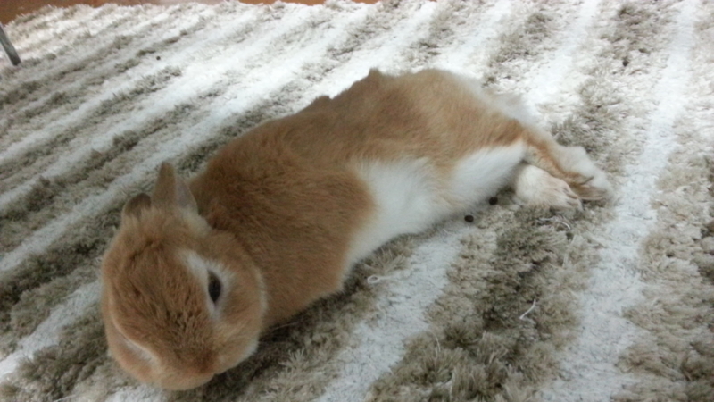 f:id:j0126791:20121018220225j:image:w360